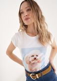 T-Shirt Siri in Cotone con Strass BIANCO WHITE Donna immagine n. 1