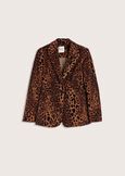 Giacca Cindy in velluto animalier MARRONE CASTAGNA Donna immagine n. 4