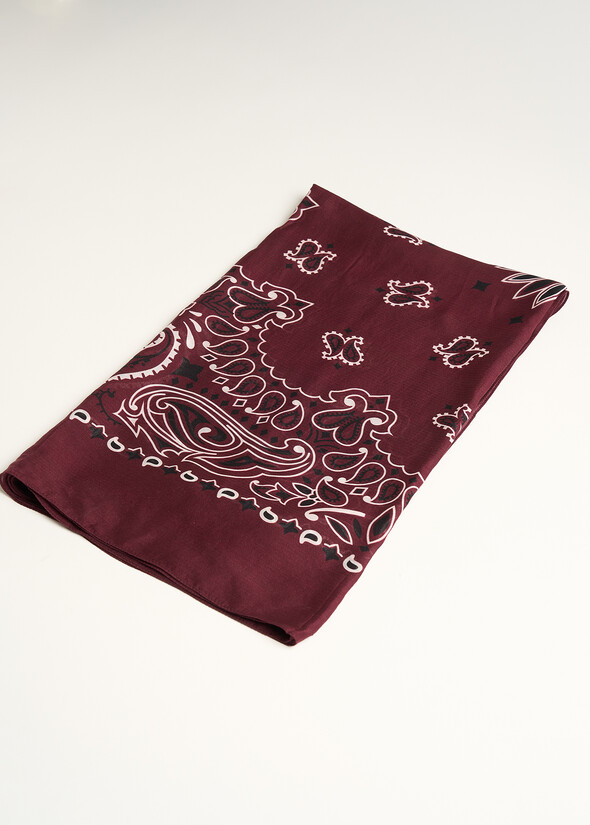 Foulard Sailey stampa cashmere ROSSO BORDEAUX Donna null