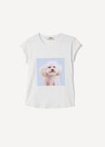 T-Shirt Siri in Cotone con Strass BIANCO WHITE Donna immagine n. 4
